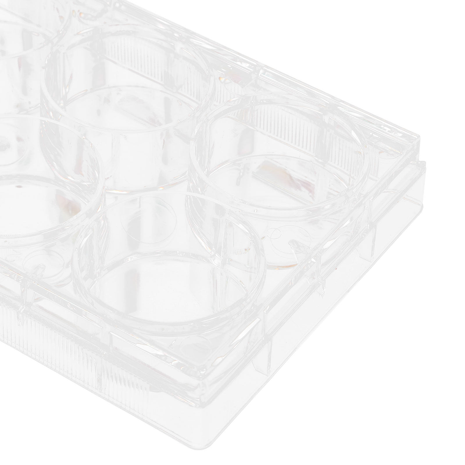 Tissue Culture Plate 6 Wells S - đánh giá và giá Lab Equipment